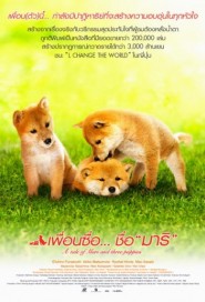 A Tale of Mari and Three Puppies poster