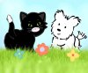 ���� Party Pals