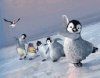 ���� Happy Feet 2  Ice Sliding