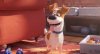 The Secret Life of Pets 2 picture