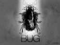 Bug wallpaper