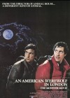 An American Werewolf in London poster