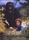 Gorillas in the Mist poster