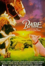 Babe poster