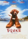 Fluke poster