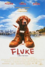 Fluke poster