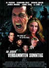 Any Given Sunday poster