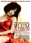 Plum Blossom poster