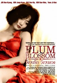 Plum Blossom poster