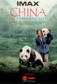 China: The Panda Adventure poster