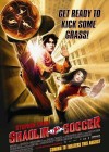 Shaolin Soccer poster