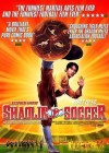 Shaolin Soccer poster