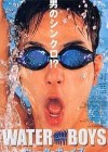 Waterboys poster