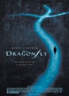 Dragonfly poster