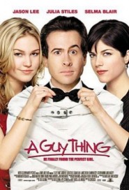 A Guy Thing poster