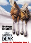 Brother Bear poster