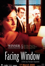 Facing Window poster