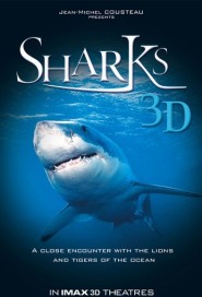 Sharks 3D poster