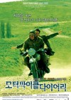 The Motorcycle Diaries poster