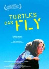 Turtles Can Fly poster