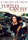 Turtles Can Fly poster