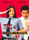 Windstruck poster