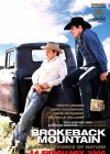 Brokeback Mountain poster