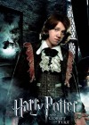 Harry Potter and the Goblet of Fire poster