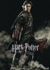 Harry Potter and the Goblet of Fire poster