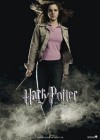 Harry Potter and the Goblet of Fire poster