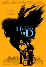 House of D poster