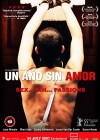 Un Ano Sin Amor poster