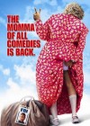 Big Momma's House 2 poster