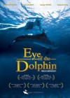 Eye of the Dolphin poster