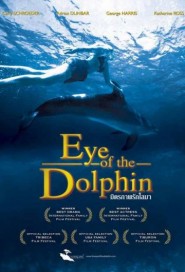Eye of the Dolphin poster