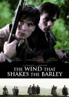 The Wind That Shakes the Barley poster