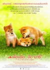 A Tale of Mari and Three Puppies poster