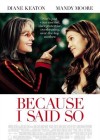 Because I Said So poster