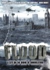 Flood poster