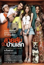 สายลับจับบ้านเล็ก poster