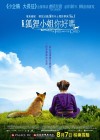 The Fox & The Child poster