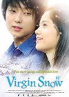 Virgin Snow poster