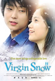 Virgin Snow poster