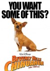 Beverly Hills Chihuahua poster