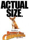 Beverly Hills Chihuahua poster