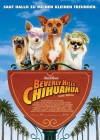 Beverly Hills Chihuahua poster