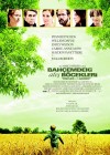 Fireflies in the Garden poster