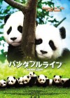 Panda Diary poster