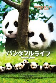 Panda Diary poster