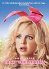 The House Bunny poster